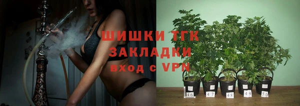 ECSTASY Армянск
