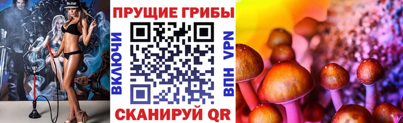 ОМГ ОМГ как зайти  Окуловка  Псилоцибиновые грибы Magic Shrooms  как найти  